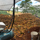Piles of organic waste, ready to become food for the flies.
